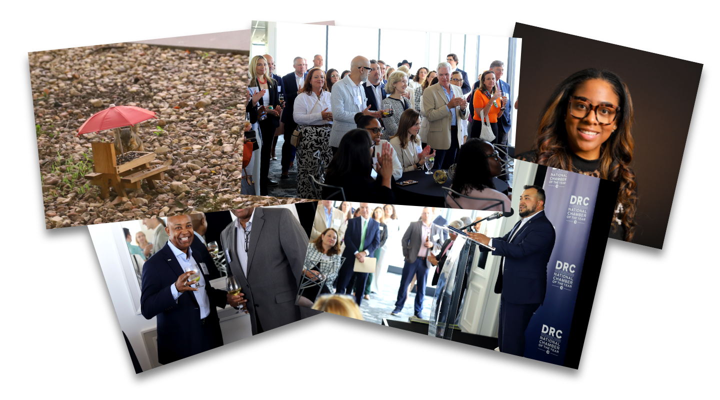 Photography and Videography Link Image